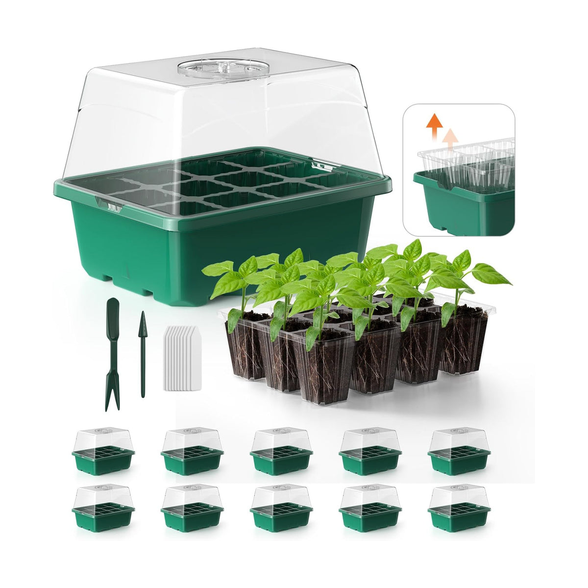 Seed Starter Tray, 10PCS Seed Starter Kit, Seedling Starter Trays with Heightened Lids for Seed Staring, Indoor Gardening Plant Germination Trays (12 Cells per Tray) Green