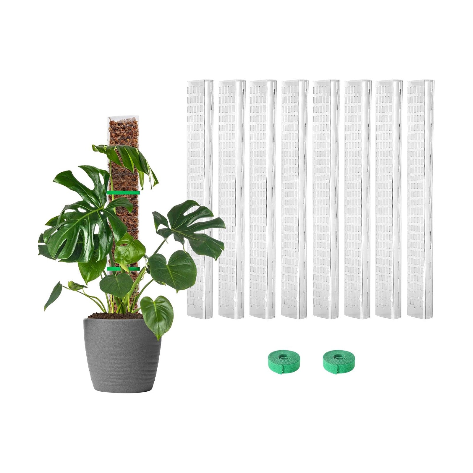 EOX Plastic Moss Pole for Monstera and Climbing Plants, 24-Inch, 8-Pack | Clear D-Shaped Design, Fold-to-Assemble
