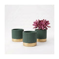 3-Pcs 4 Inch Cement Planters Set - Vintage Ribbed Flower Pots with Gold Rim and Drainage Holes, Modern Ceramic