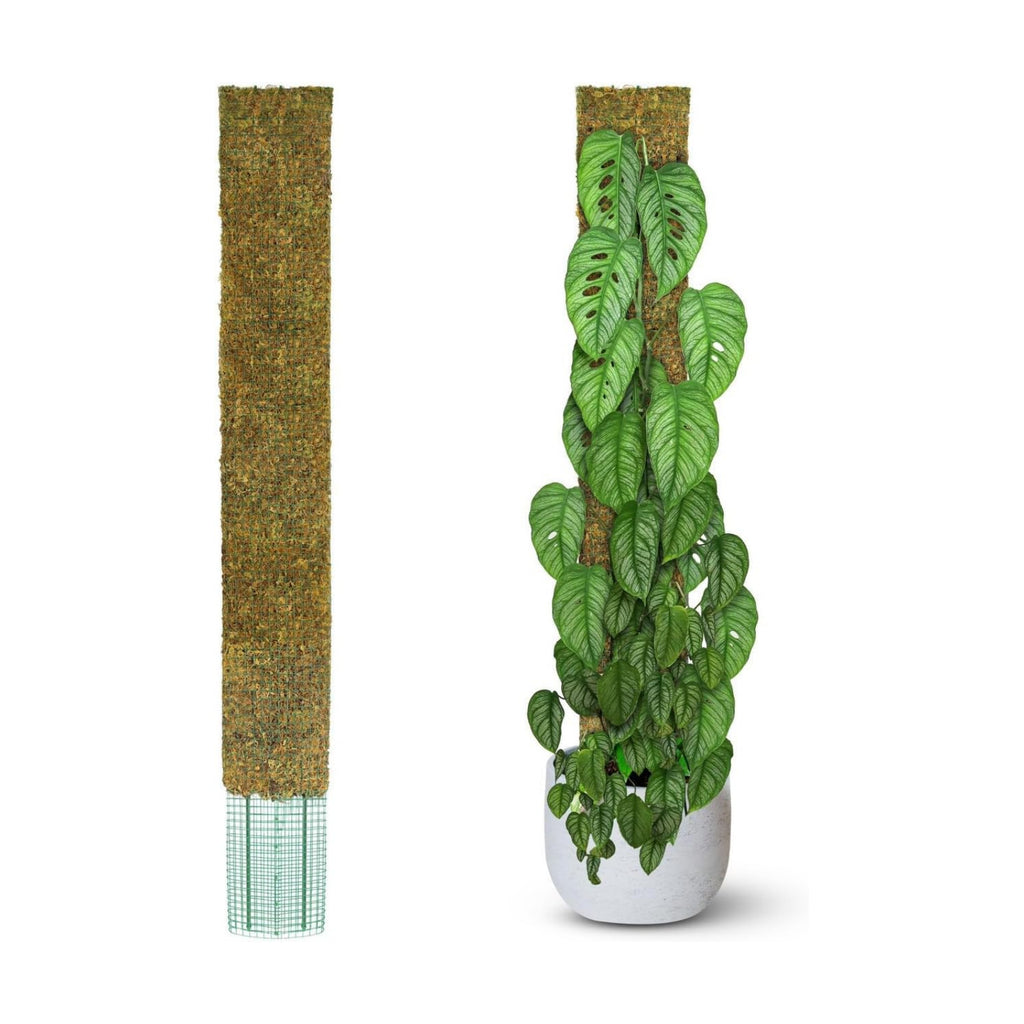 DUSPRO 59" Flat Mesh Moss Pole for Big Climbing Plants, (1pc., 59'')