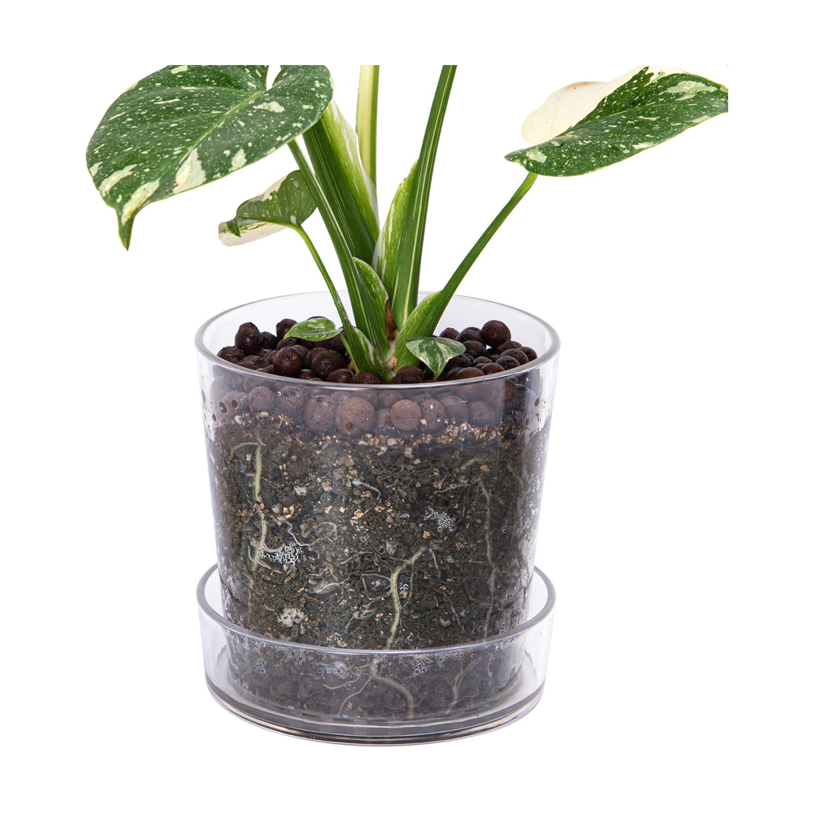 Phoenix Vine 6.5 Inch Clear Acrylic Planter Pot with Tray, Orchid Pot with Drainage Holes, Deep Saucer for Bottom