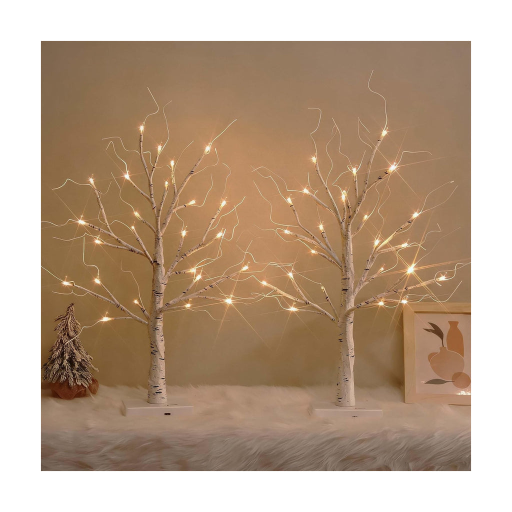 White Birch Tree with LED Lights, Lighted Birch Tree for Tabletop, USB/Battery Operated 24 LED Warm White Tree, 2FT Mini Christmas Tree Decor for Indoor Home Christmas Decorations (2 Pack, Timer)