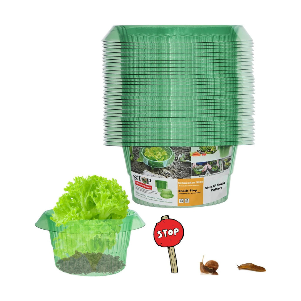 Fshow Slug & Snail Collars,30pcs Snail Garden Cloches,Snail Collar Protects Plants to Get Better.