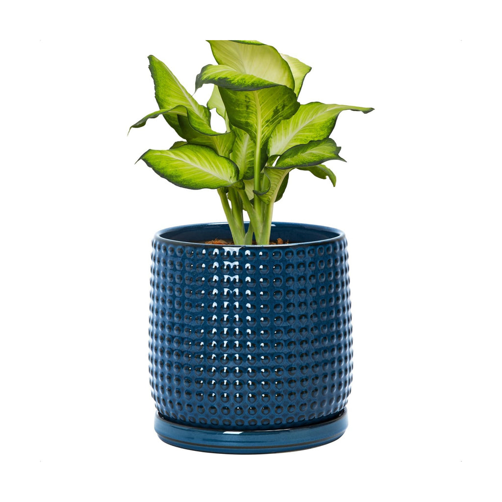 D'vine Dev Beaded Ceramic Pot with Saucer, 6 in, Midnight Blue, 27-C-X-3