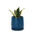 D'vine Dev Beaded Ceramic Pot with Saucer, 4 in, Midnight Blue, 27-C-Z-3