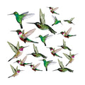 20-Pack Hummingbird Bird Strike Prevention Window Clings