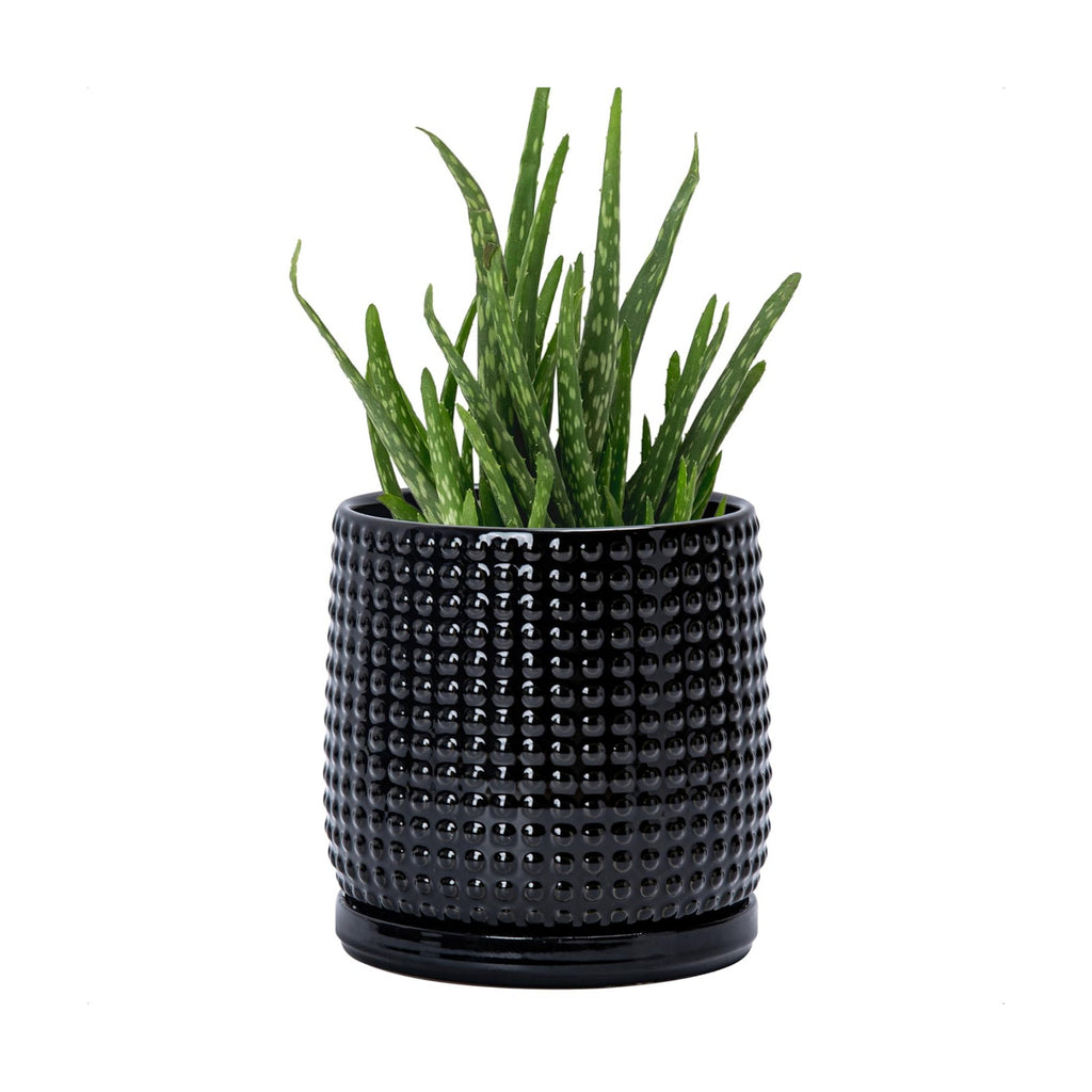 D'vine Dev Beaded Ceramic Pot with Saucer, 6 in, Glossy Black, 27-C-X-2