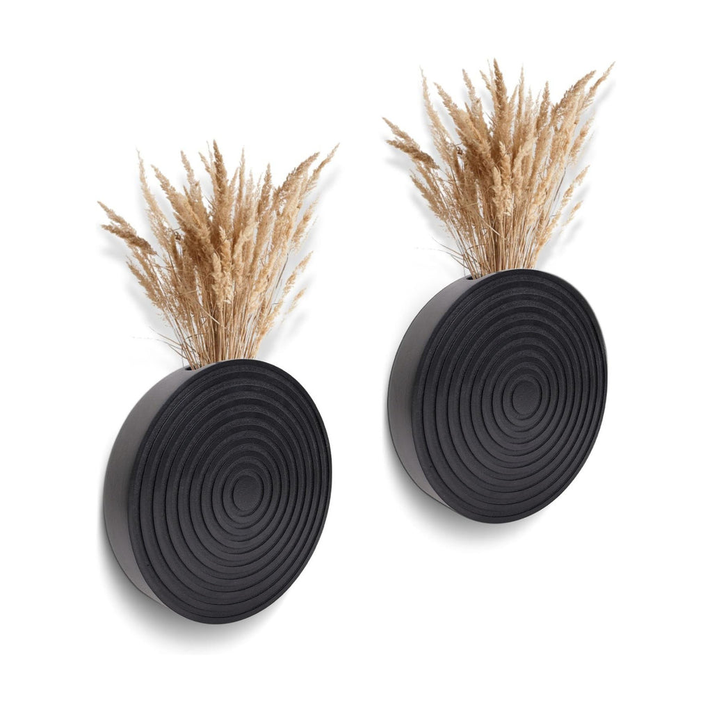 Set of 2 Wall Planter for Indoor Plants, | Black Wall Decor for Living Room, Bathroom,Boho Hanging Planter for