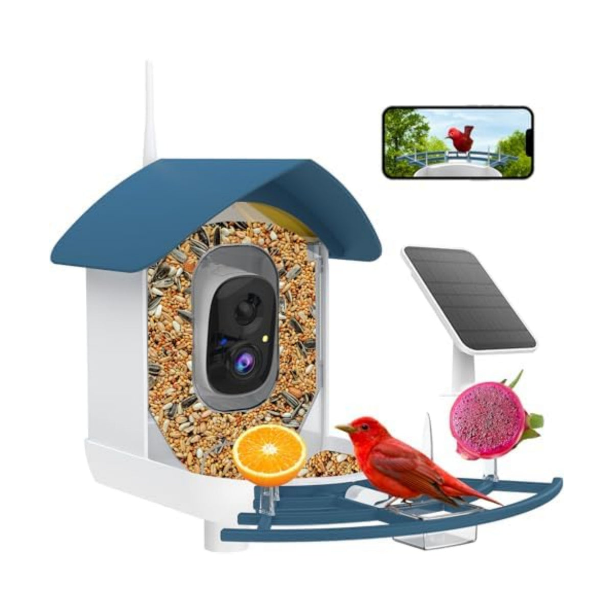 Fazoxo Bird Feeder with Camera,Birds House Camera,Solar Powered,AI Bird ID