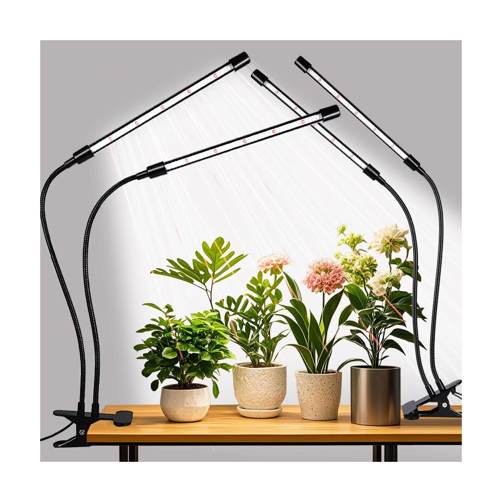 Grow Lights Upgrade 168 LEDs Clip Plant Lights for Indoor Plants, Full Spectrum White+ Red LED Plant Growing Lamps with