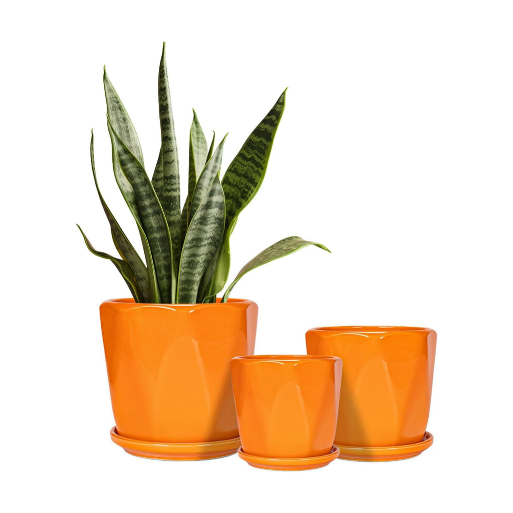 Ceramic Plant Pots Set of 3, Indoor Planter with Drainage Holes and Saucers | Orange Flower Pots for Indoor Plants