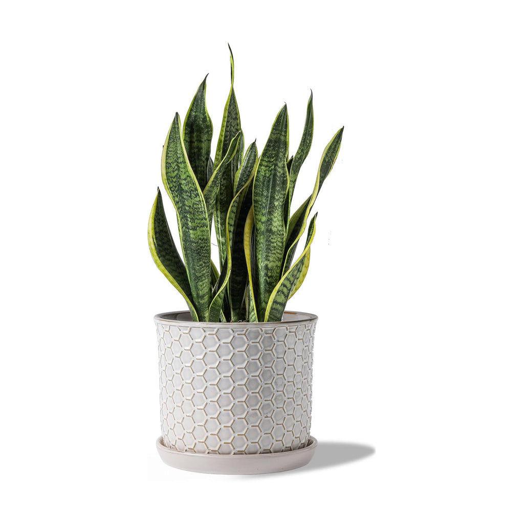 8 Inch Ceramic Plant Pot with Drainage Hole & Separate Saucer | Indoor/Outdoor Planter with Tray - Honeycomb Embosse