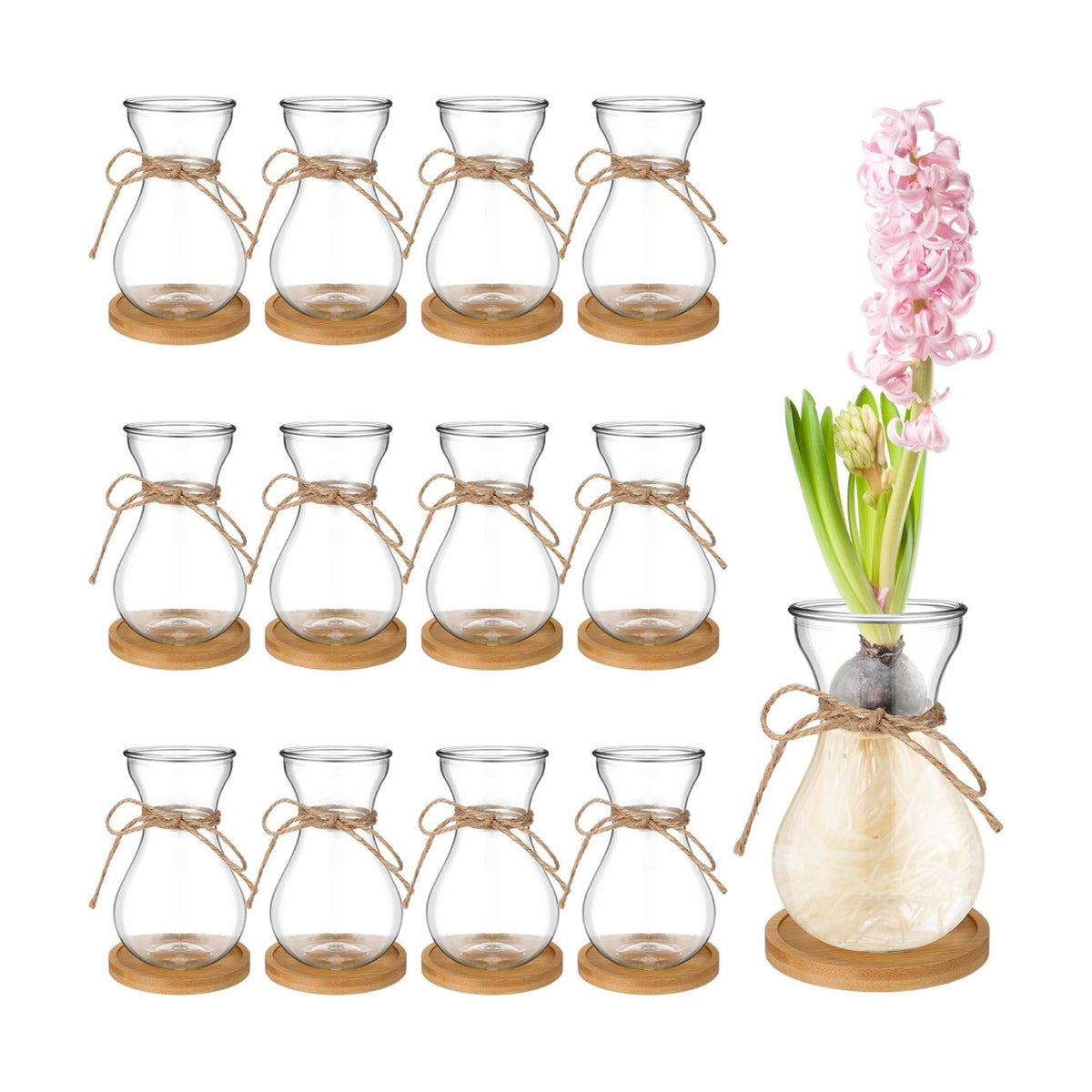 Bulb Glass Vases for Flowers Forcing Hyacinth Clear Decorative Bulb Vase with Round Bamboo Coaster for Home Office Table Decoration(12 Pcs)