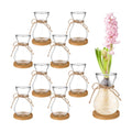 Bulb Glass Vases for Flowers Forcing Hyacinth Clear Decorative Bulb Vase with Round Bamboo Coaster for Home Office Table Decoration(8 Pcs)