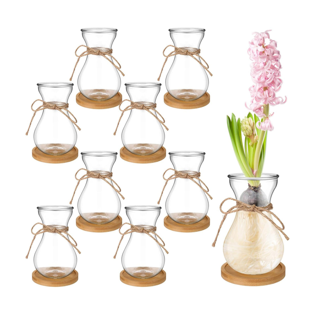 Bulb Glass Vases for Flowers Forcing Hyacinth Clear Decorative Bulb Vase with Round Bamboo Coaster for Home Office Table Decoration(8 Pcs)