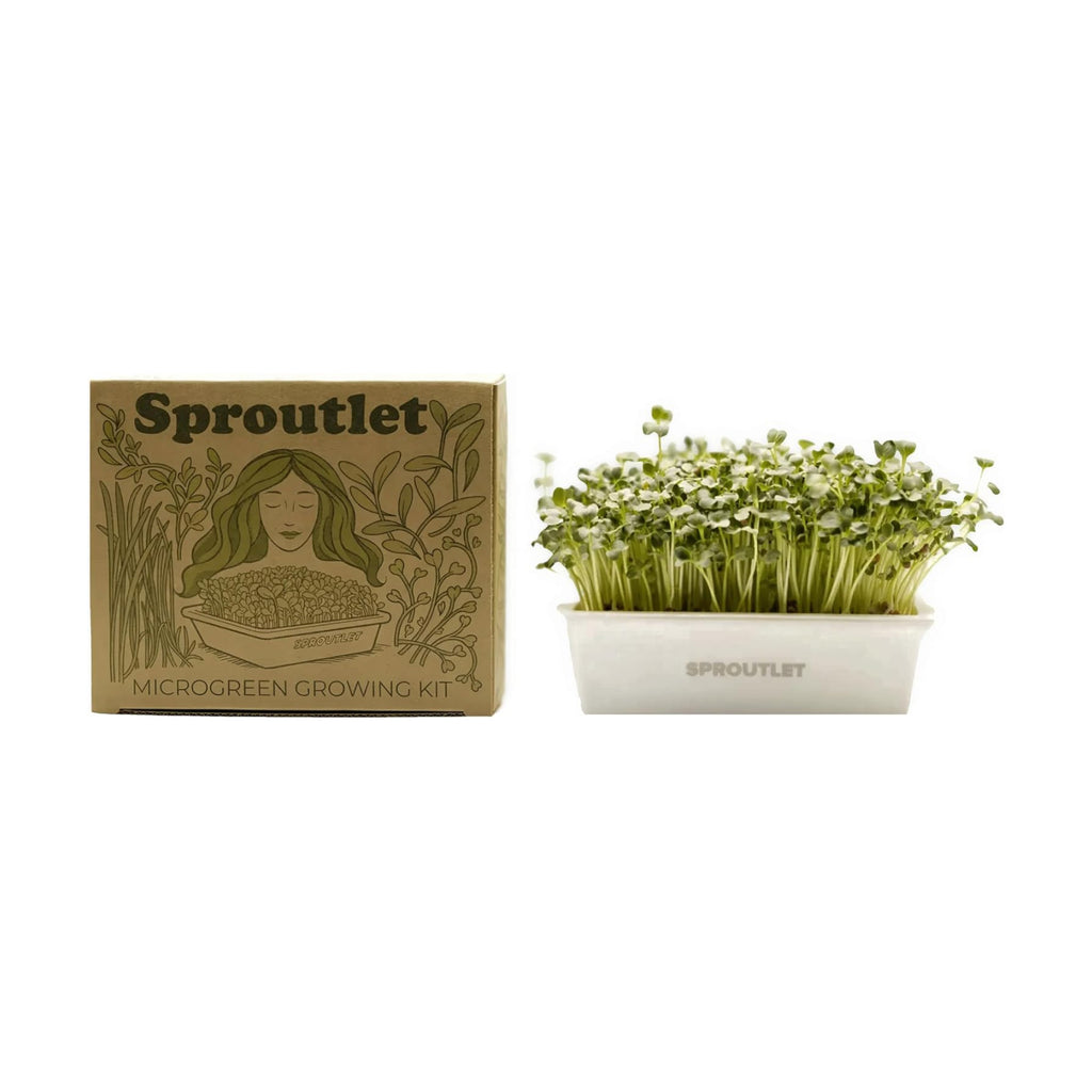Sproutlet Self-Watering Microgreens Growing Kit – Easy Indoor Garden for Fresh Microgreens in Days – Reusable Trays