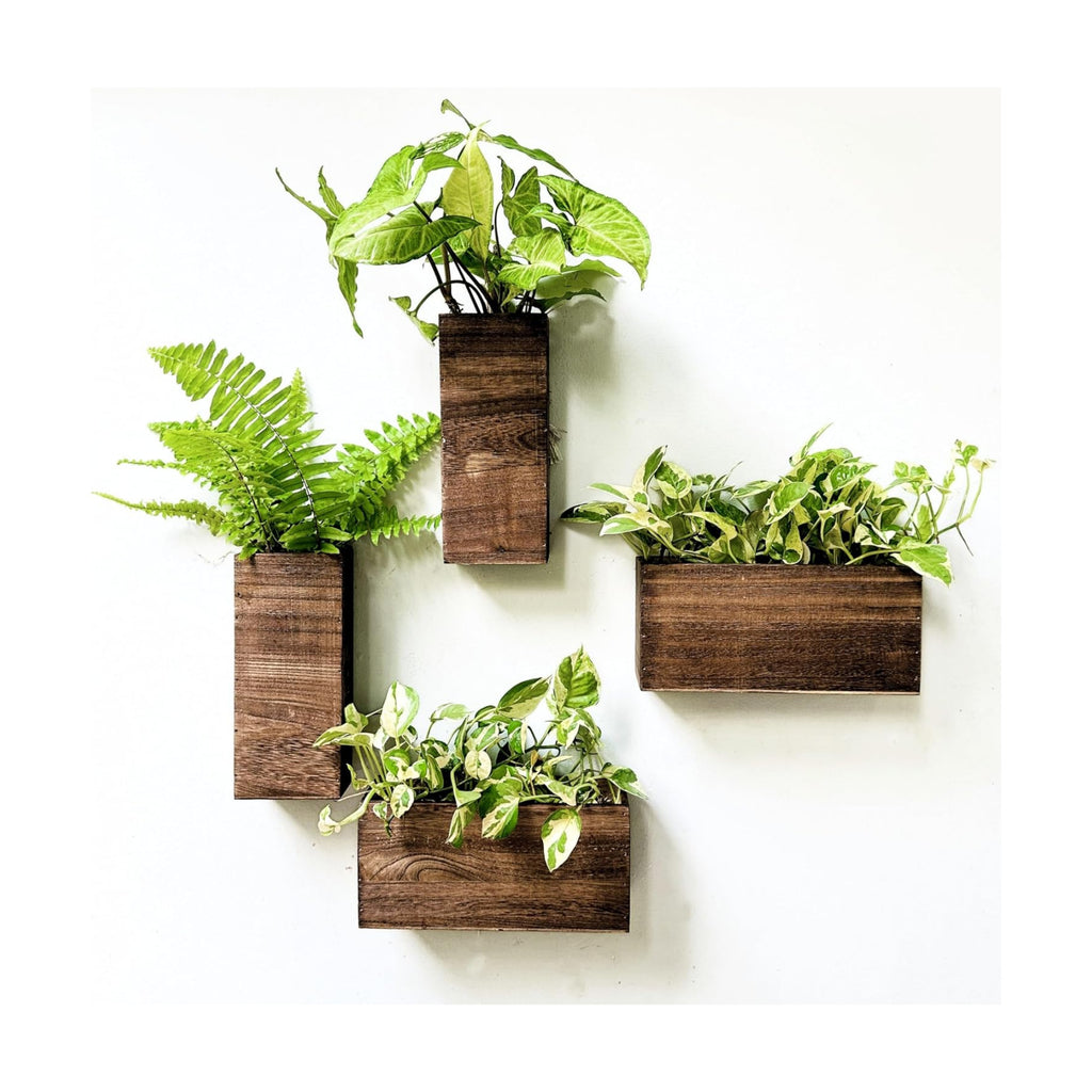 LaLaGreen Wooden Wall Planters (4 Pack) Hanging Wood Planter Box for Plants | Indoor Boxes Plant Holder Vase for Dried