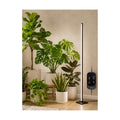 Vertical Grow Light for Indoor Plants, 60in LED Standing Lamp | 36W Full Spectrum Plant Lights with Auto Timer, 268