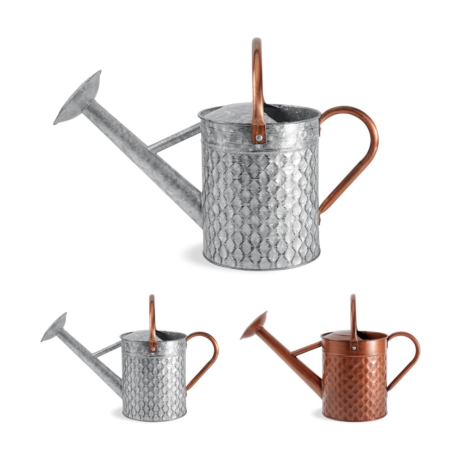 1 Gallon Metal Watering Can for Outdoor Indoor Plants, Galvanized Watering Can with Removable Spray Spout, Ideal for