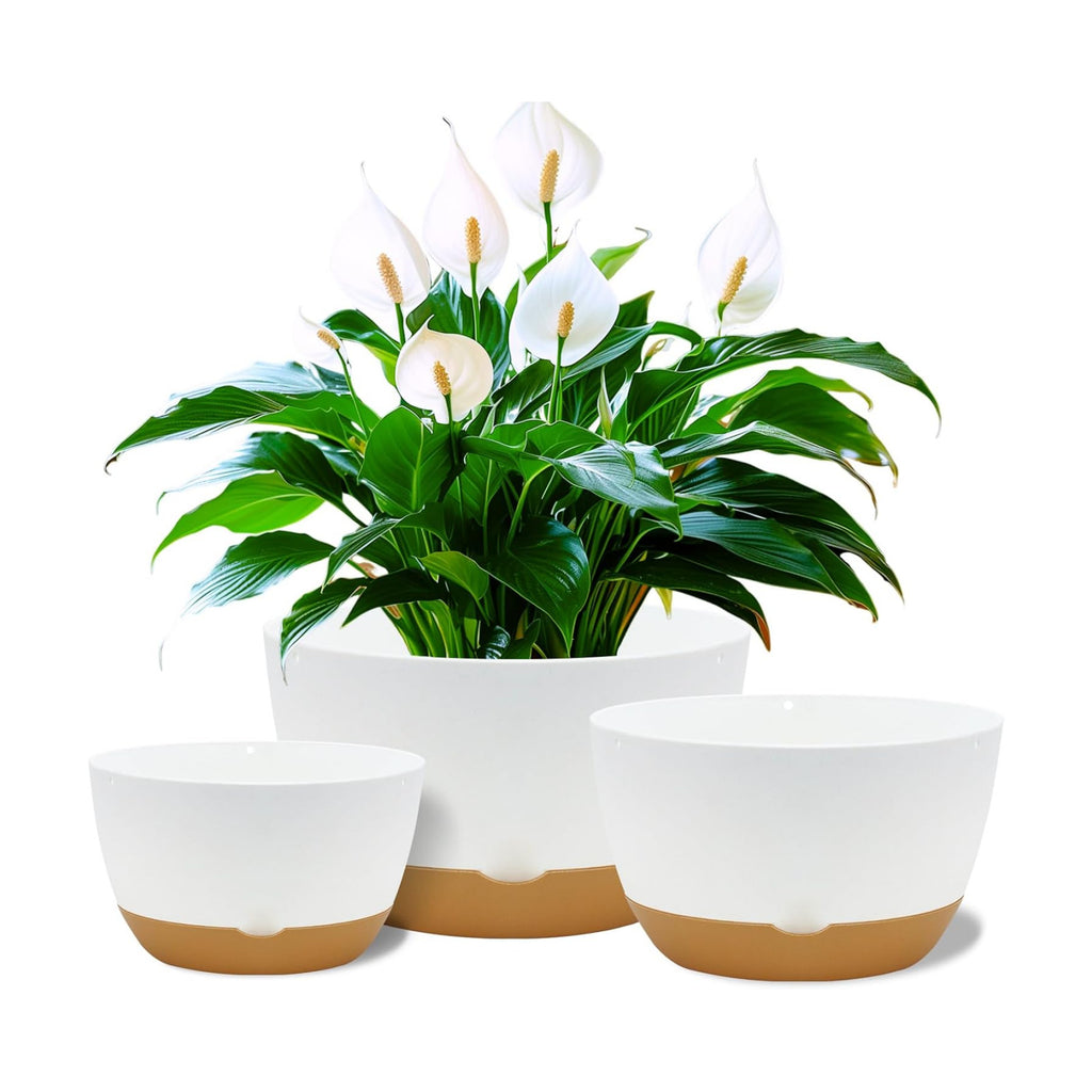 Koalaime 8/10/12 Inch Pots for Indoor Plants, Large Self Watering Planters with Drainage and Saucers, Plastic Outdoor