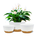 Koalaime 8/10/12 Inch Pots for Indoor Plants, Large Self Watering Planters with Drainage and Saucers, Plastic Outdoor