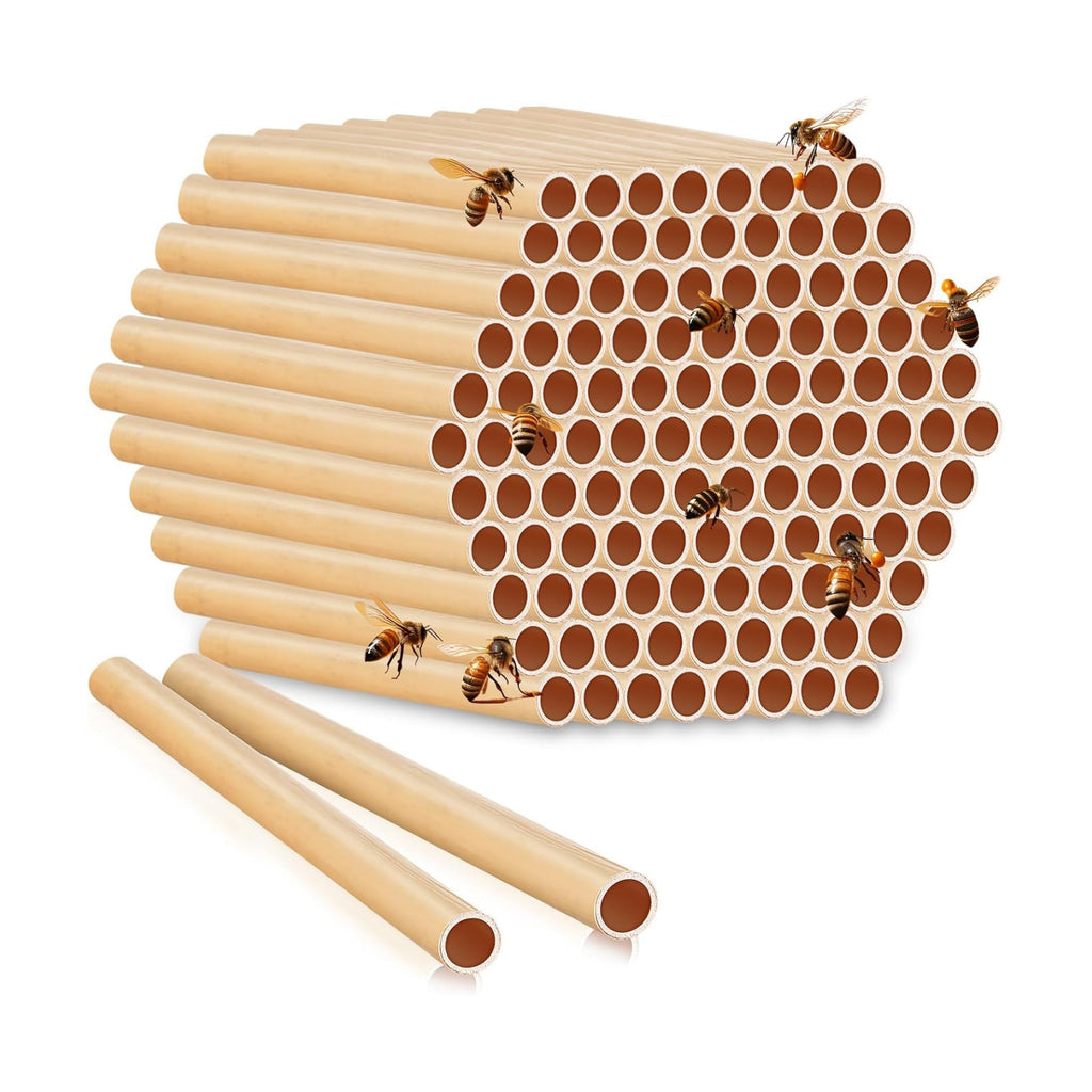 Tinideya 250 Pcs Phragmite Reed Mason Bee Tubes Set Bee Hotel Nest Box Pollinator Bee Box for Mason Bee Houses Natural