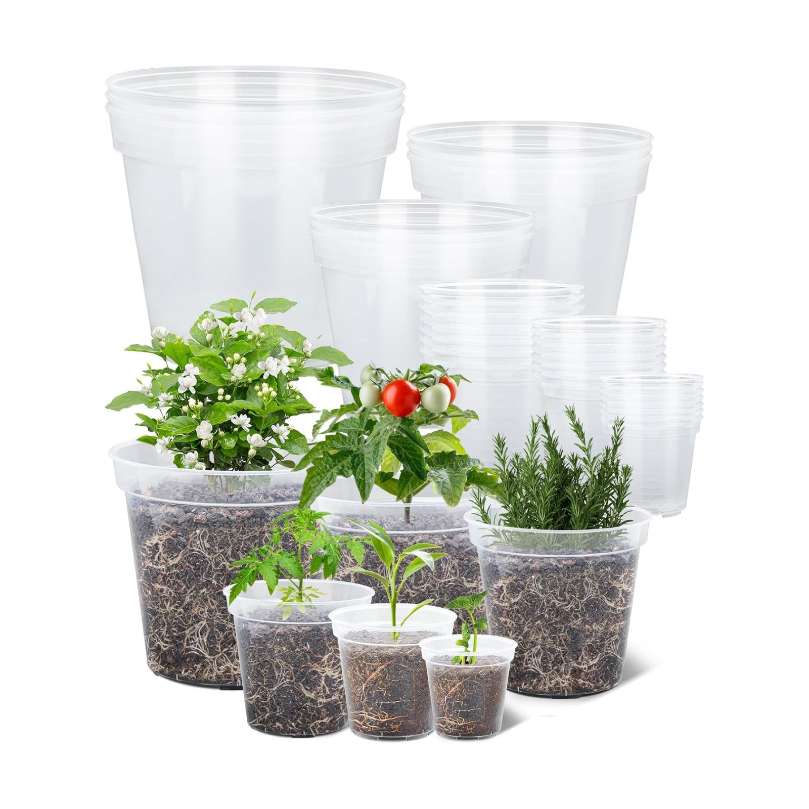 GREANER 4/5/6/7/8/9 Inch Reinforced Clear Nursery Pots, Transparent Variety Pack Plastic Nursery Pots, 30 Packs Seed