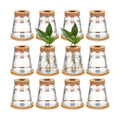 12 Packs Propagation Vases for Plants Plastic Plant Propagation with Hole Lid and Bamboo Stand Growing in Water