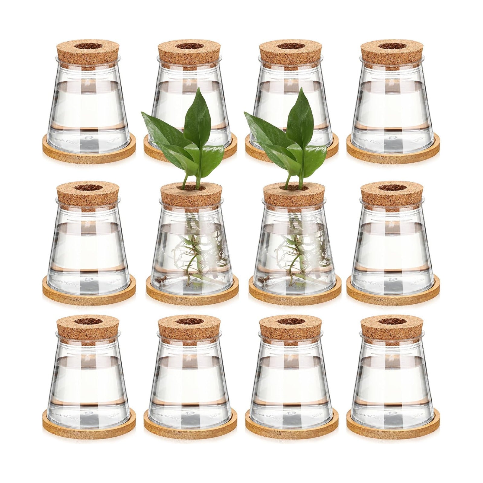 12 Packs Propagation Vases for Plants Plastic Plant Propagation with Hole Lid and Bamboo Stand Growing in Water