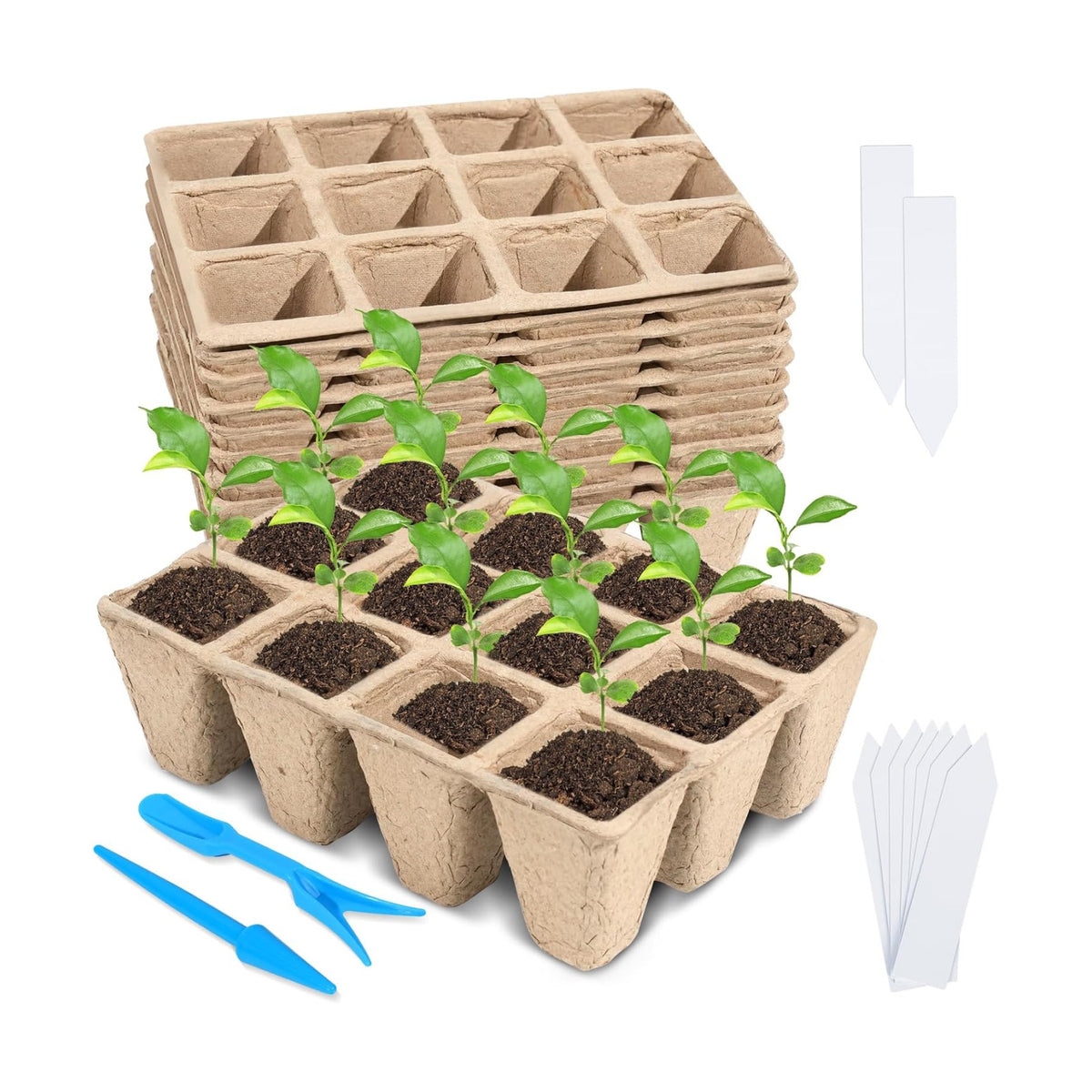 10 Packs Seedling Starter Trays, 120 Cells Biodegradable Seed Starter Plant Pots，Seed Germination Starter Tray Kit with 20 Labels, 2 Transplant Tools