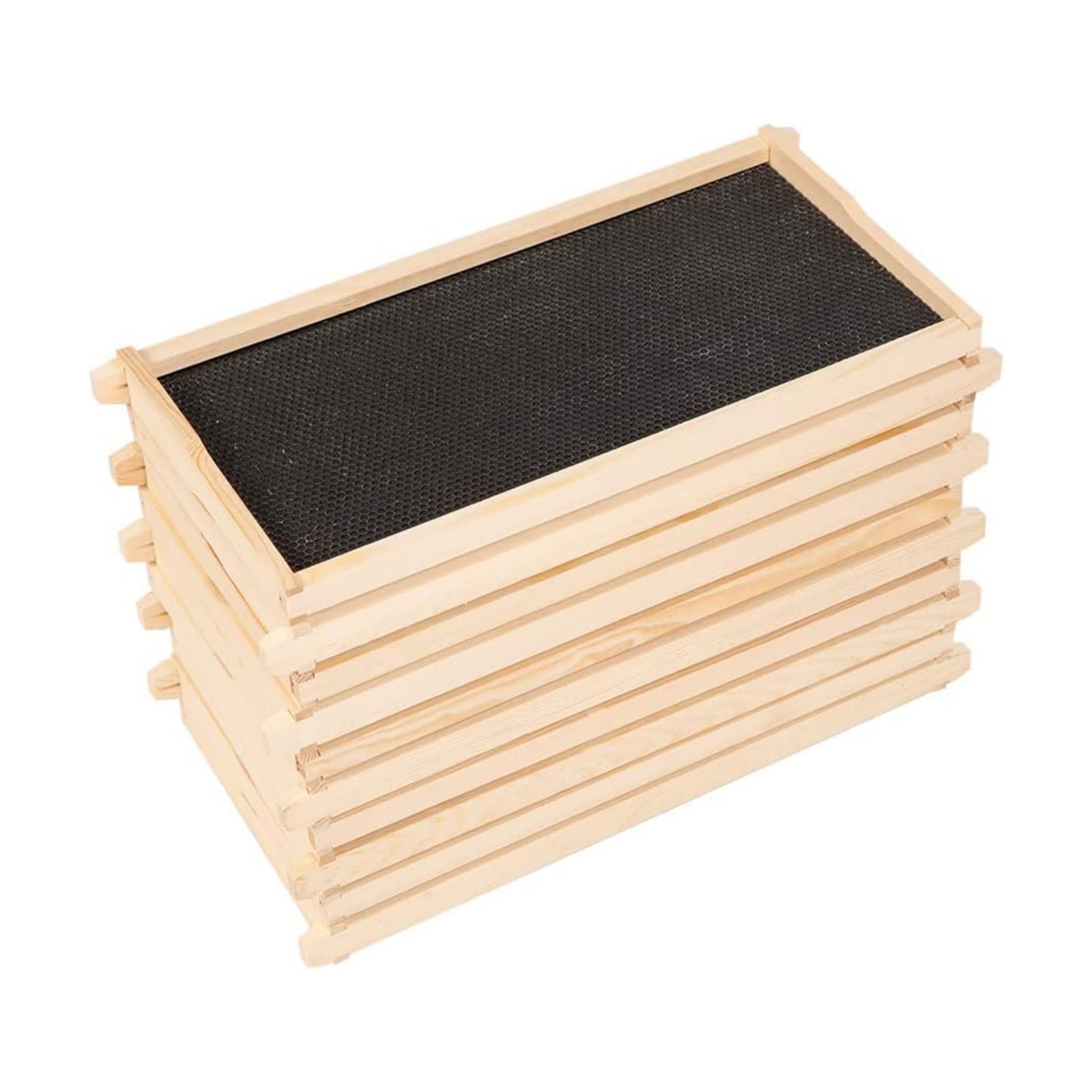 BeeTech 10-Pack Deep Brood Box Wooden Beehive Frames and 100% Beeswax Dipped Plastic Foundations for Beekeeping