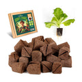 Rooting Cubes for Plant Cloning, 80PCS Grow Media with Pre-Cut Slit