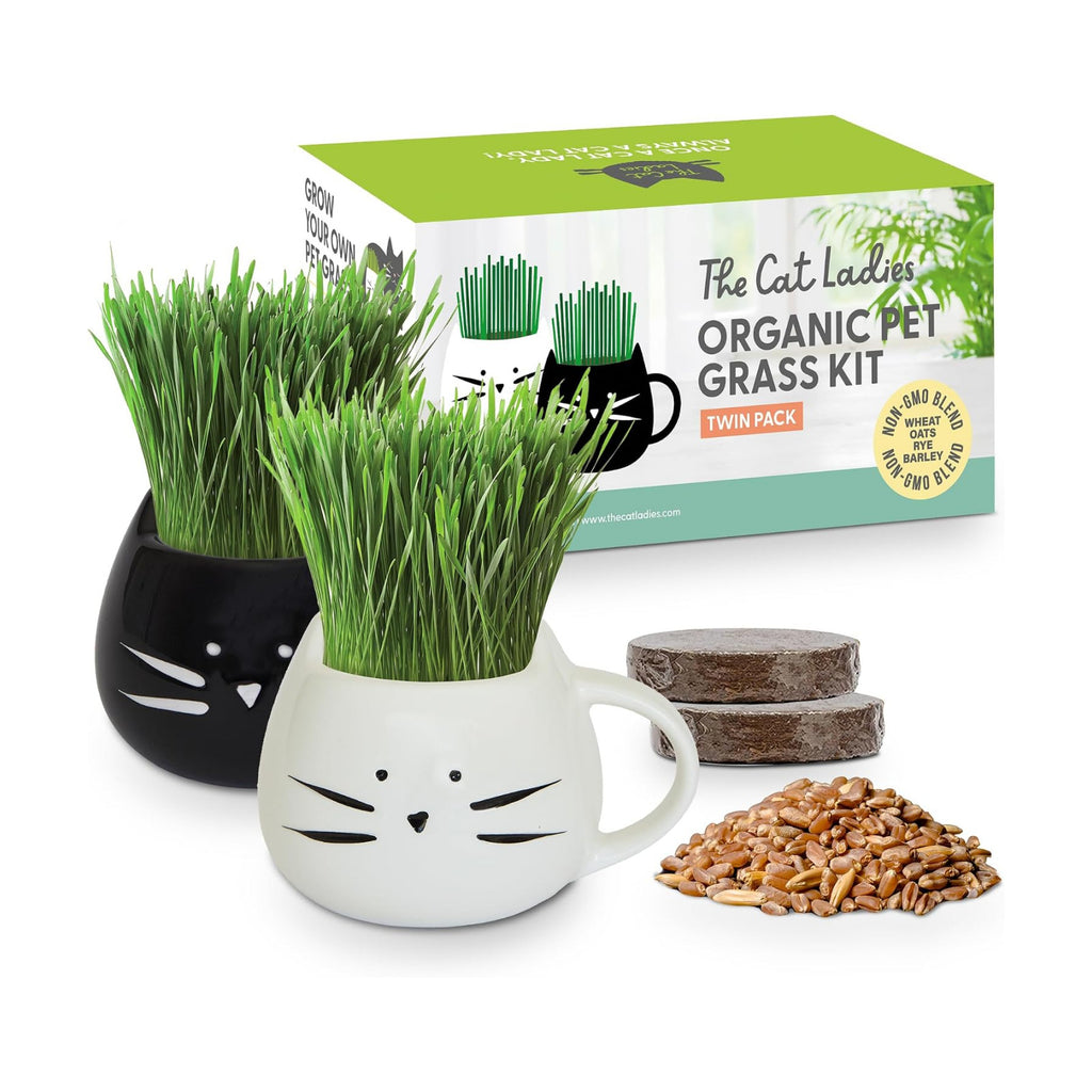 The Cat Ladies Cat Grass Growing Kit with Organic Cat Grass Seed Mix, Soil and Two Cat Grass Planters. Perfect Cat