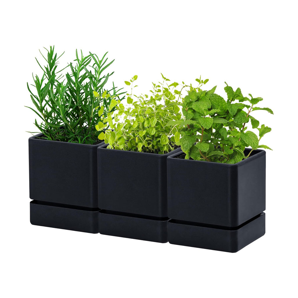 D'vine Dev 3-Pack Plastic Herb Planter Pots, 4 in, Black, 76-Y-B3-1