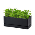 D'vine Dev Rectangular Planter, 12 x 4.5 in, Black, 76-X-B-1