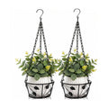 Goaste 2 Pack Metal Plant Hanger, Hanging Plant Holder with Ceiling Hook, Modern Plant Hanging Basket, Decorative