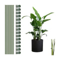 10pcs Green Plant Support Stakes with 15pcs Clips, Bendable Stakes for Tall Plants, Indoor & Outdoor Use