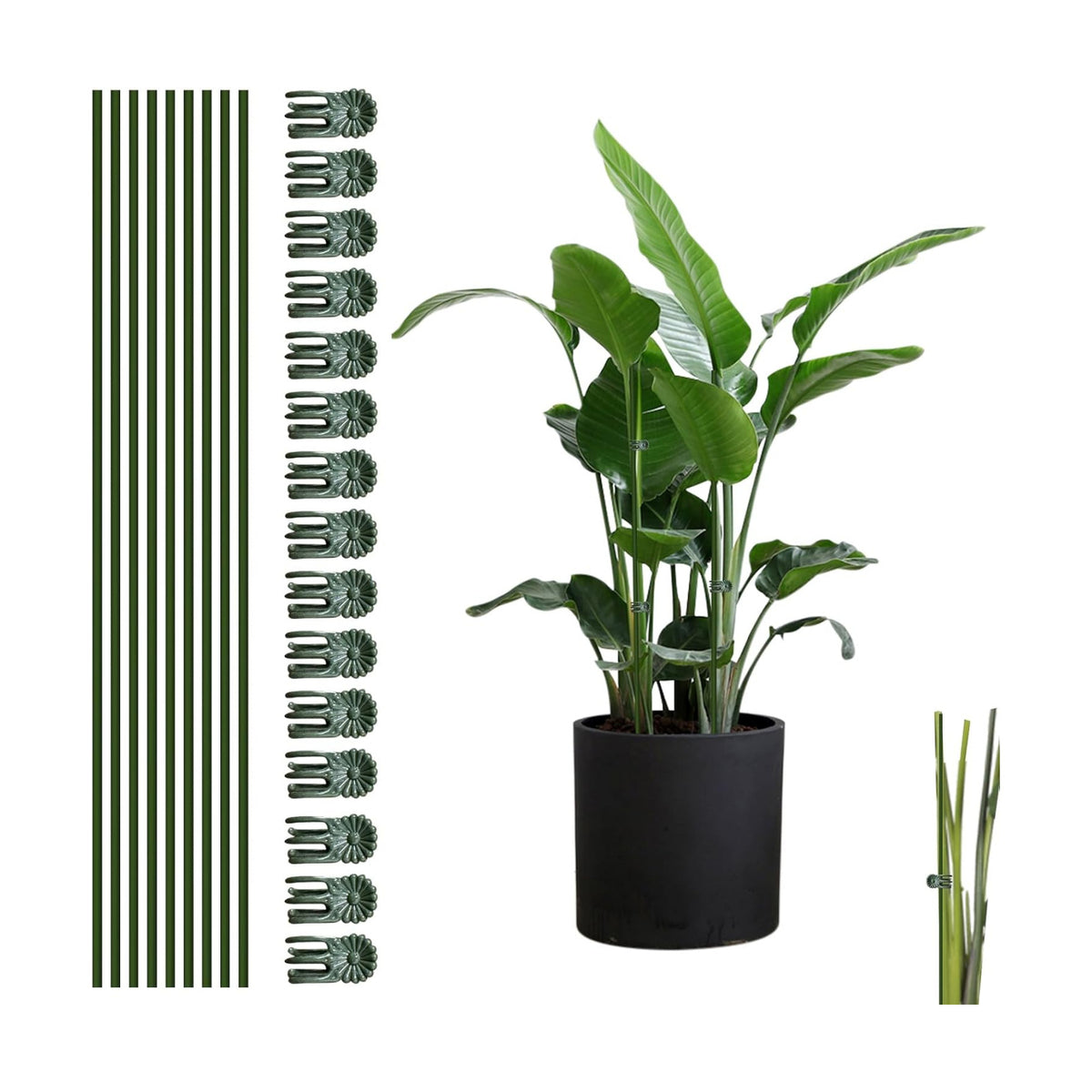 10pcs Green Plant Support Stakes with 15pcs Clips, Bendable Stakes for Tall Plants, Indoor & Outdoor Use