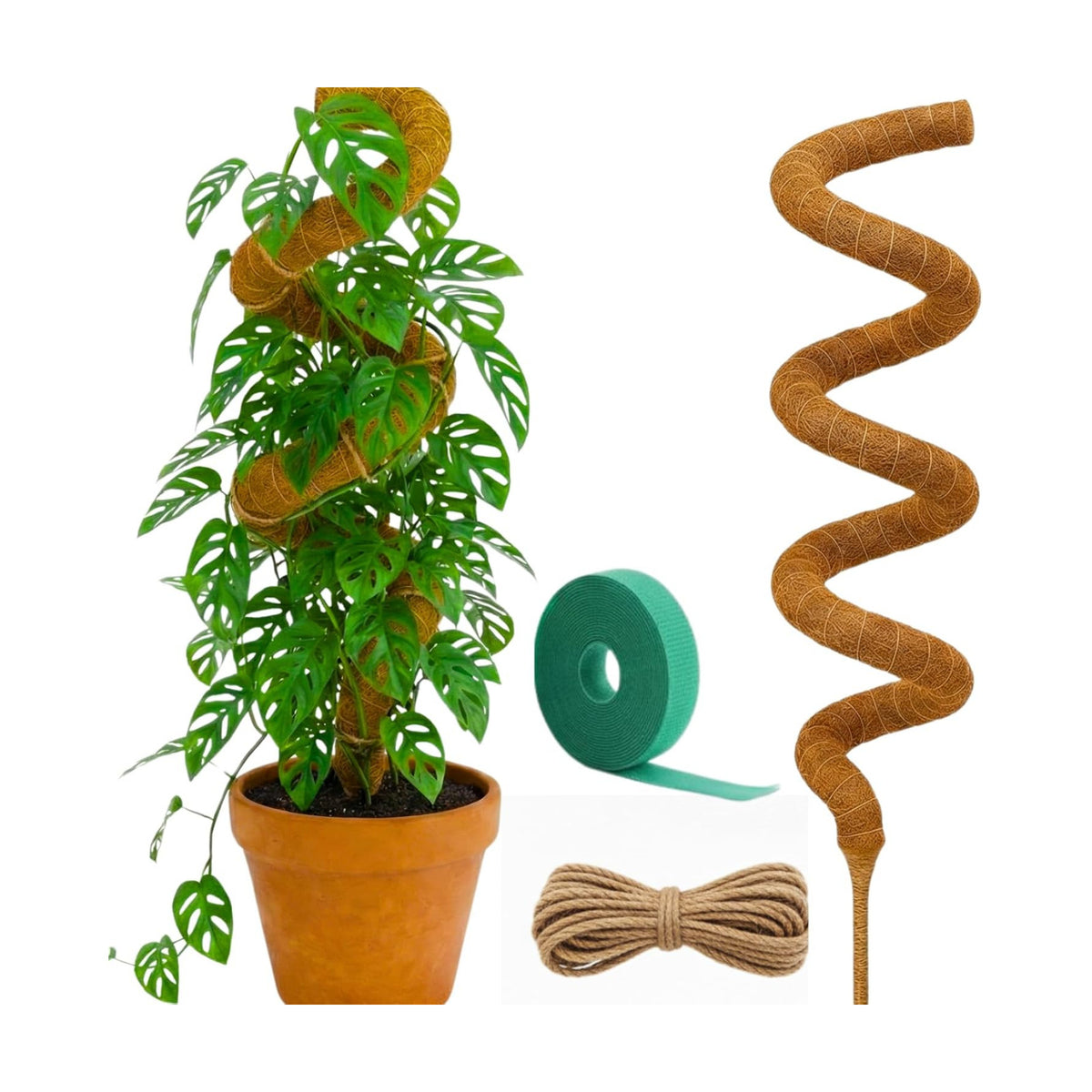 Moss Pole Monstera Plant Support | 60 Inch Plant Stakes for Indoor Plants | Coconut Palm Fiber Moss Poles for Climbing Plants | Handmade Plant Sticks Support Tall Monstera, Pothos & More
