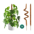 2 Pack Moss Pole 28 Inch Monstera Plant Sticks Support Tall Long Stakes