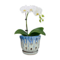 Ceramic Orchid Pot with Drainage Hole 6'' Orchid Planter (Blue Cover White)