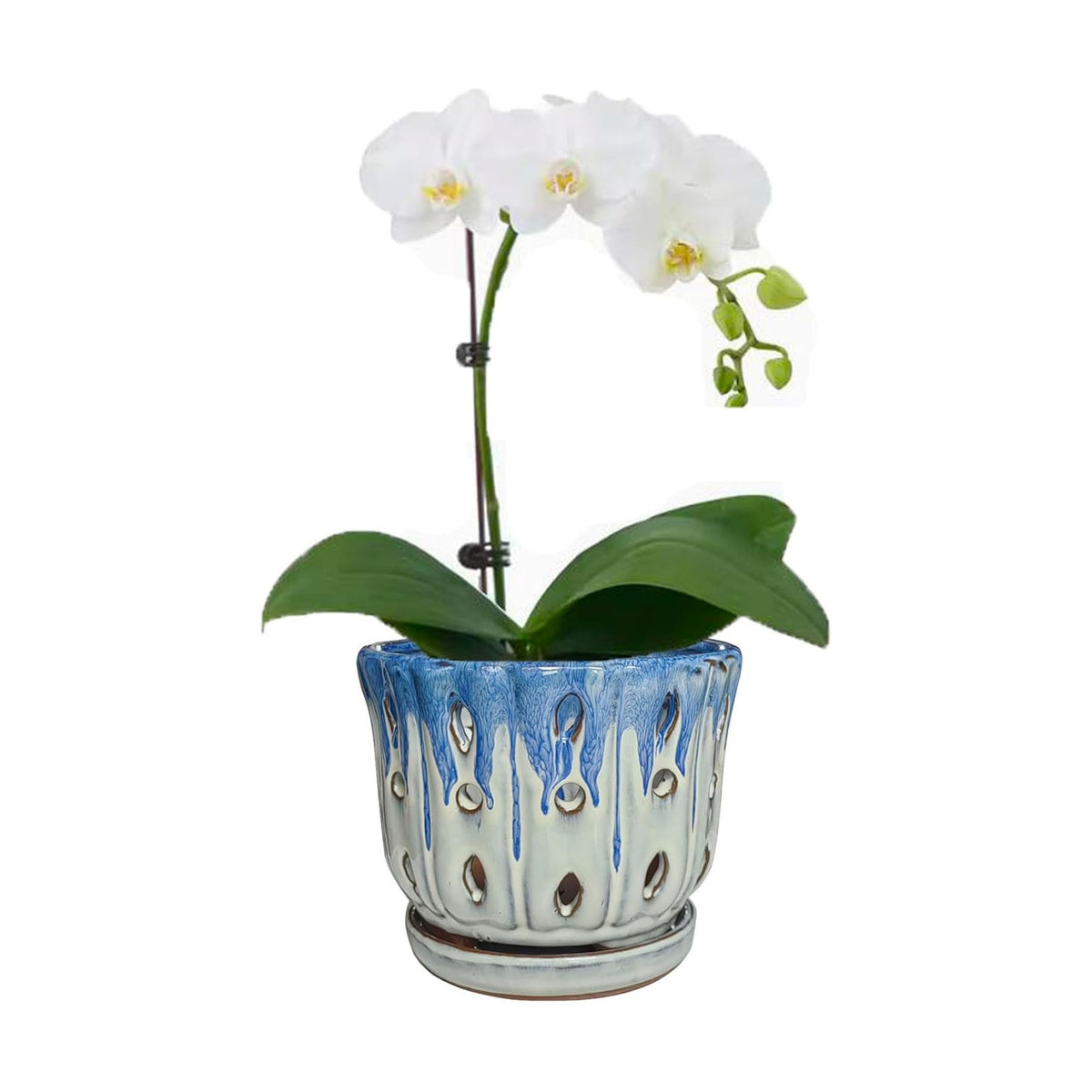 Ceramic Orchid Pot with Drainage Hole 6'' Orchid Planter (Blue Cover White)