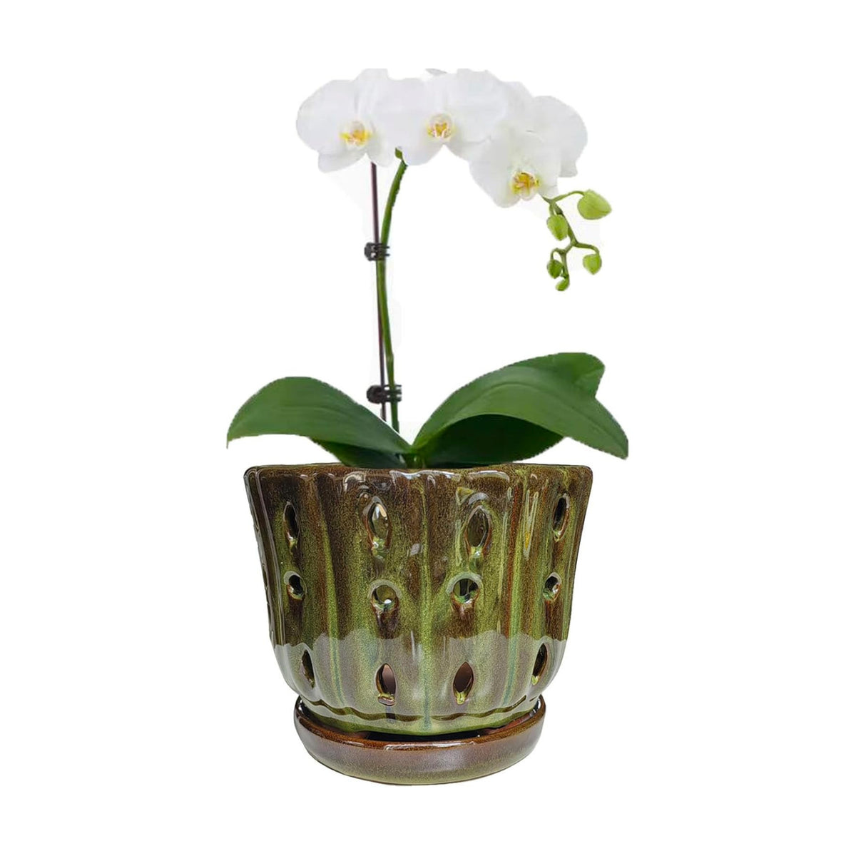 Ceramic Orchid Pots with Drainage Hole 6'' (mossgreen)