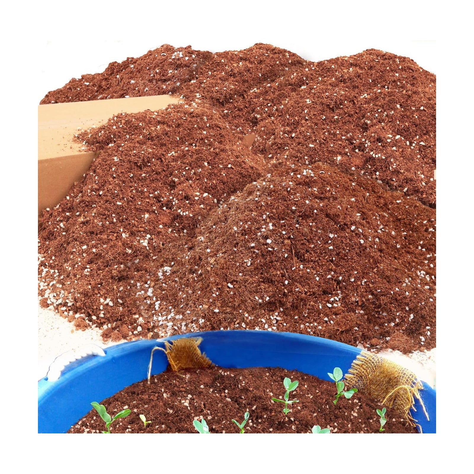 29QT Potting Soil Mix for Indoor Plants - Contains Perlite, Peat Moss, Coco Coir & Rice Charcoal, Natural & Organic