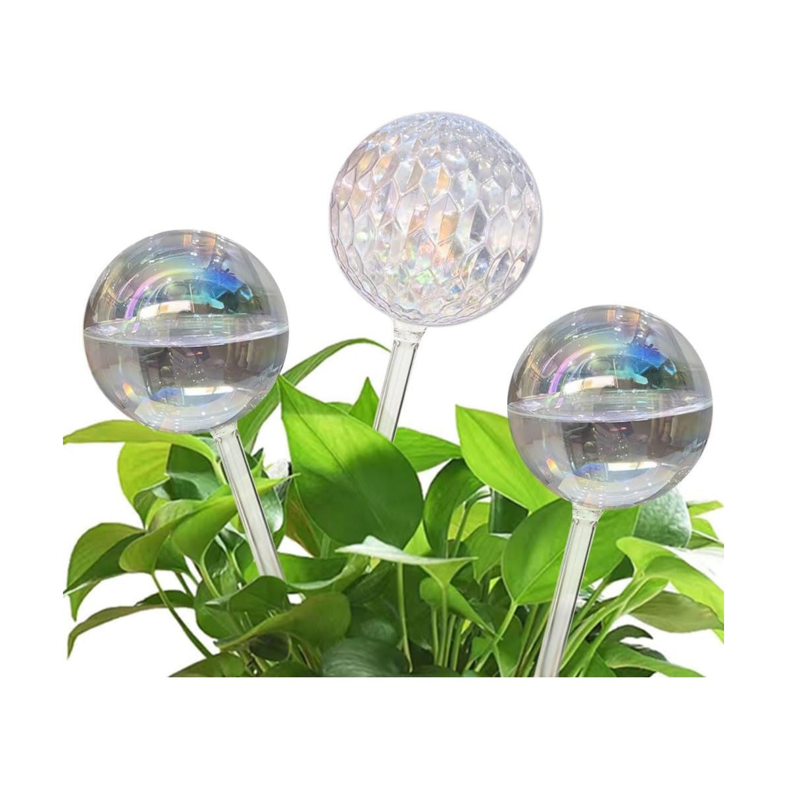 17 Oz 2 Weeks Glass Plant Watering Globes Large Vacation Water While Away Indoor Outdoor Potted Plant Slow Release Self