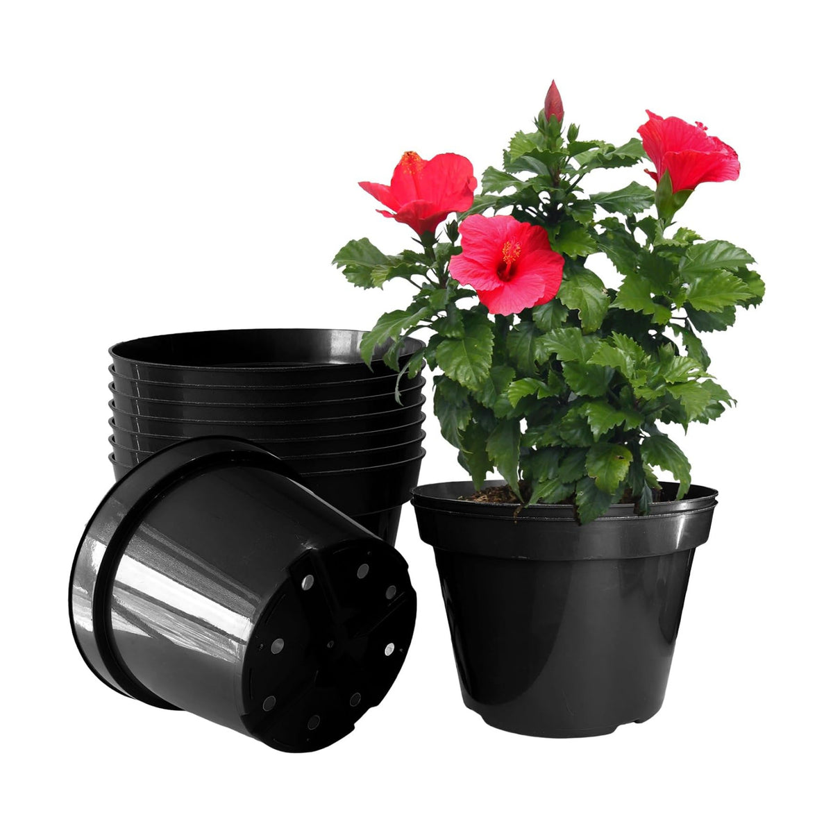 RooTrimmer 10 Inch Plastic Nursery Pots for Plants 10 Pack Plant Pots with Drainage Holes 2 Gallon Nursery Pots Perfect for Indoor Outdoor Plants Such as Herbs, Strwaberrys and Flowers, Black