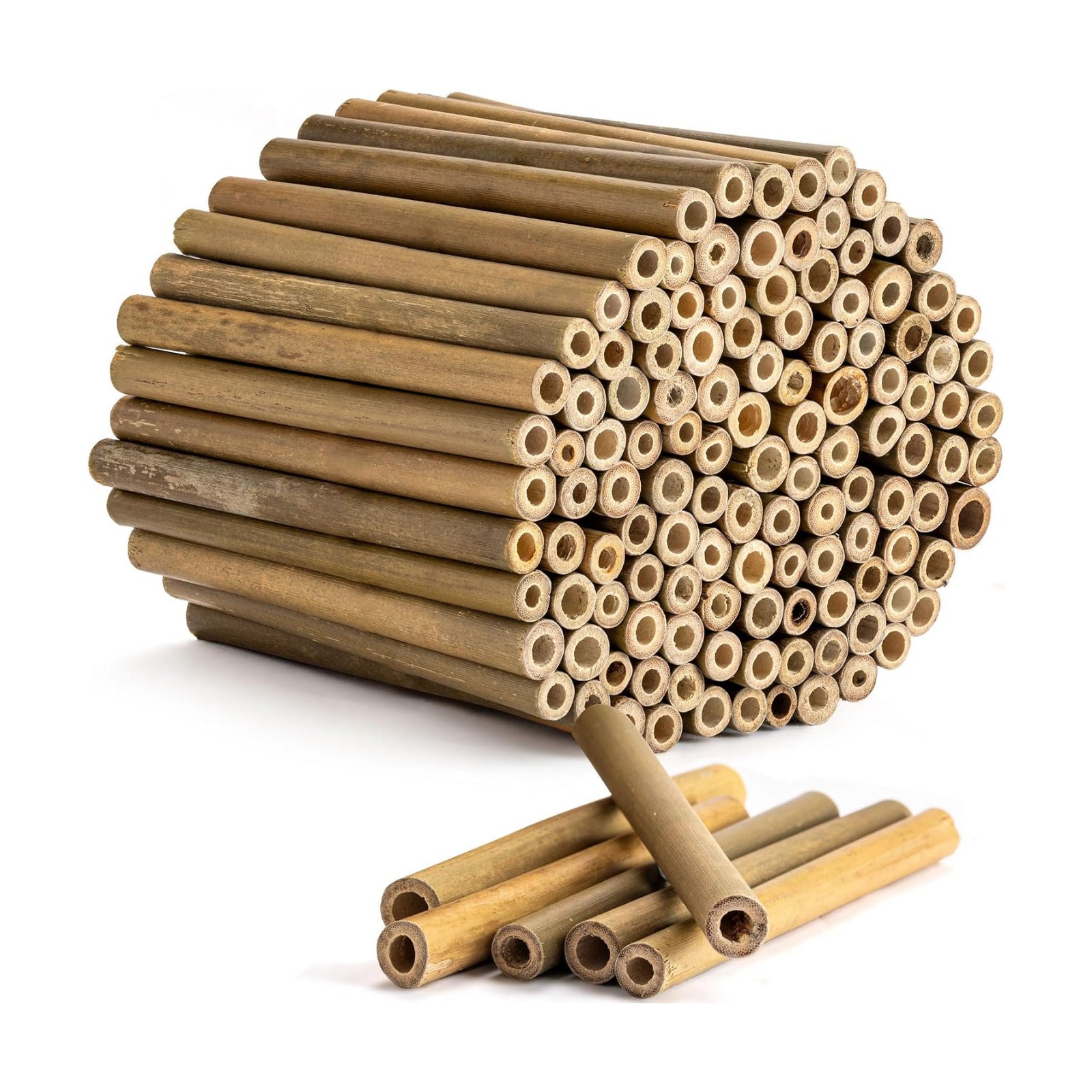 Rivajam 125 Bamboo Sticks for Crafts Supplies | Bamboo Craft Sticks & Mason Bee Tubes for Mason Bee House | Bamboo Reed