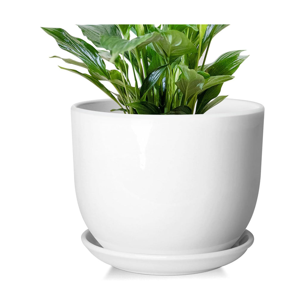 8 Inch Ceramic Planter, Plant Pots with Drainage Hole and Separable Saucer,Indoor-Outdoor Round Succulent Orchid Flower