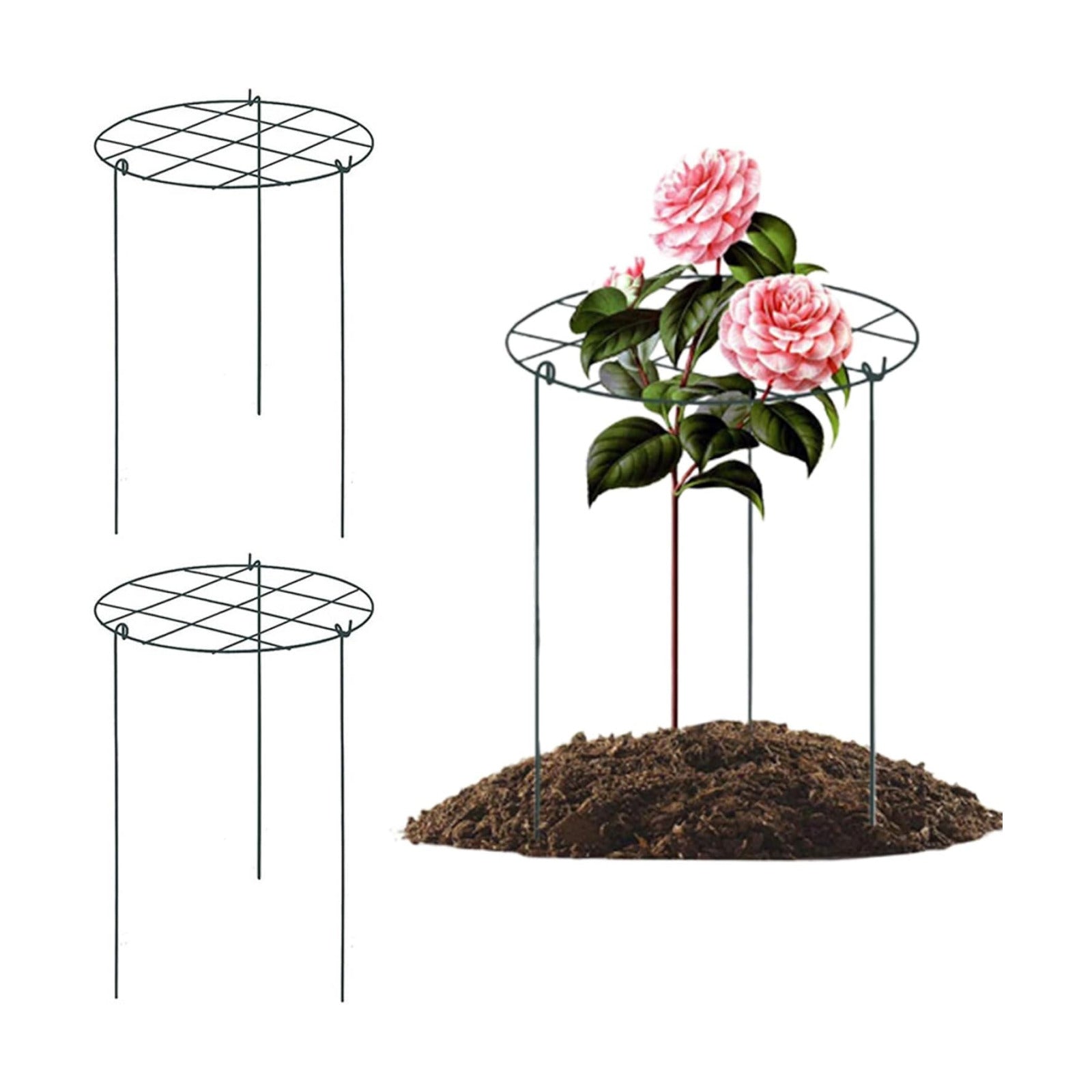 Peonies Support Cages, 6 Pack Peony Cages and Supports 30x40cm Plant Cages for Outdoor Plants Tomato Plant Support