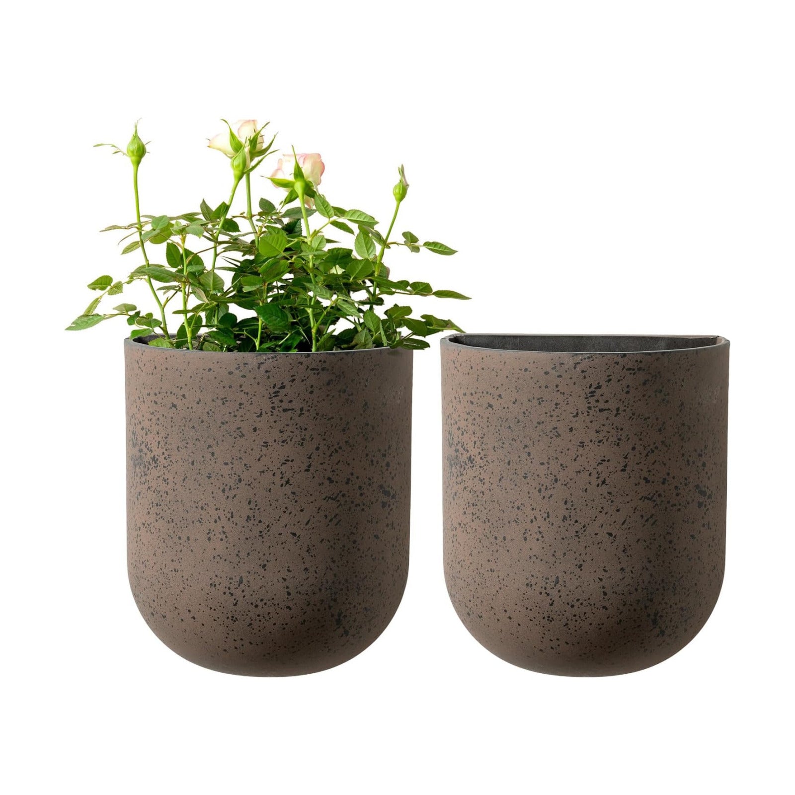 LA JOLIE MUSE Wall Planters for Indoor Plants, Hanging Flower Pots, 2 Pack | Wall Hanging Planters, Decorative Wall